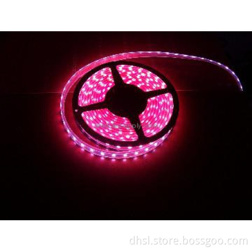 24V 120pcs smd3528 led strip light led per meter -(1)